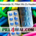 Anaconda Xl Pills Where To Buy 40